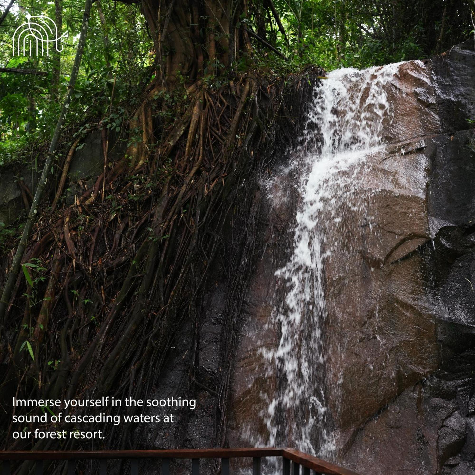 Wayanad Silverwoods Forest Resort & Spa Padinjarathara Exterior photo