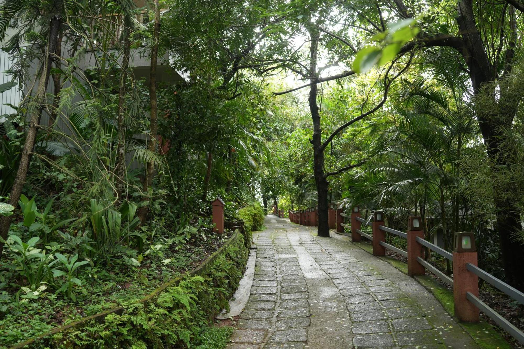 Wayanad Silverwoods Forest Resort & Spa Padinjarathara Exterior photo