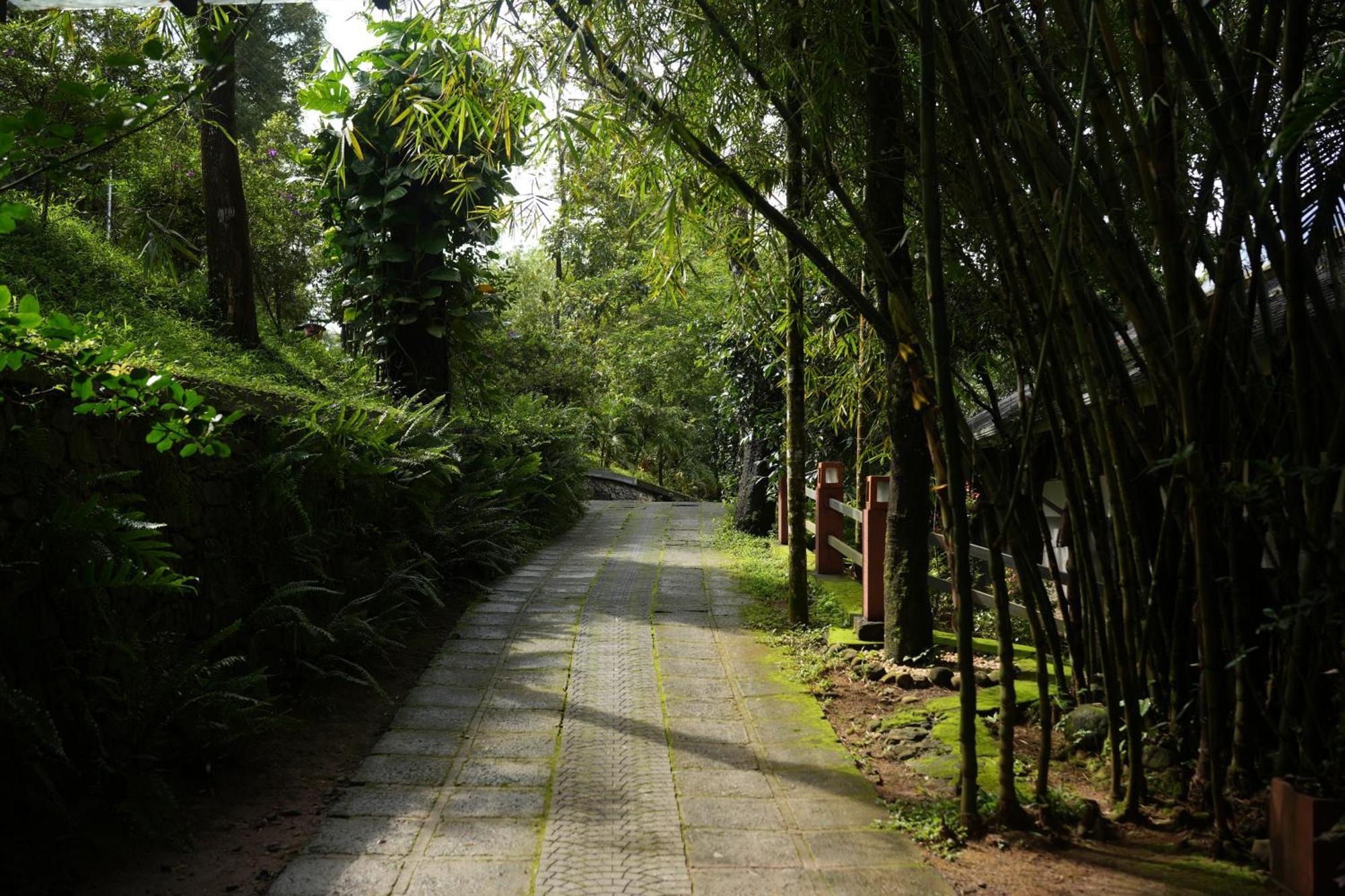 Wayanad Silverwoods Forest Resort & Spa Padinjarathara Exterior photo