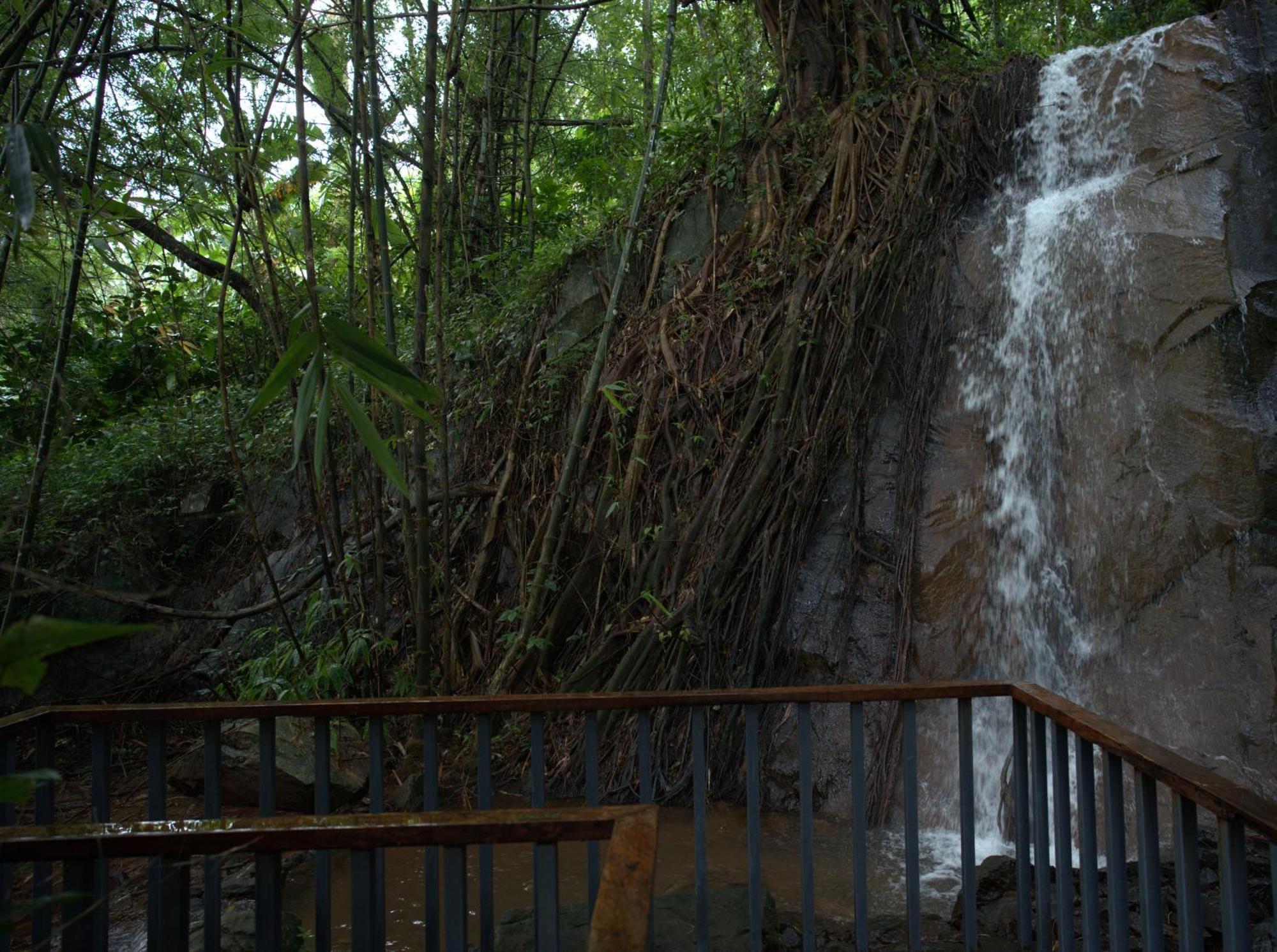 Wayanad Silverwoods Forest Resort & Spa Padinjarathara Exterior photo